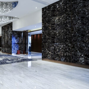 black marinaca granit duvar kaplaması 2